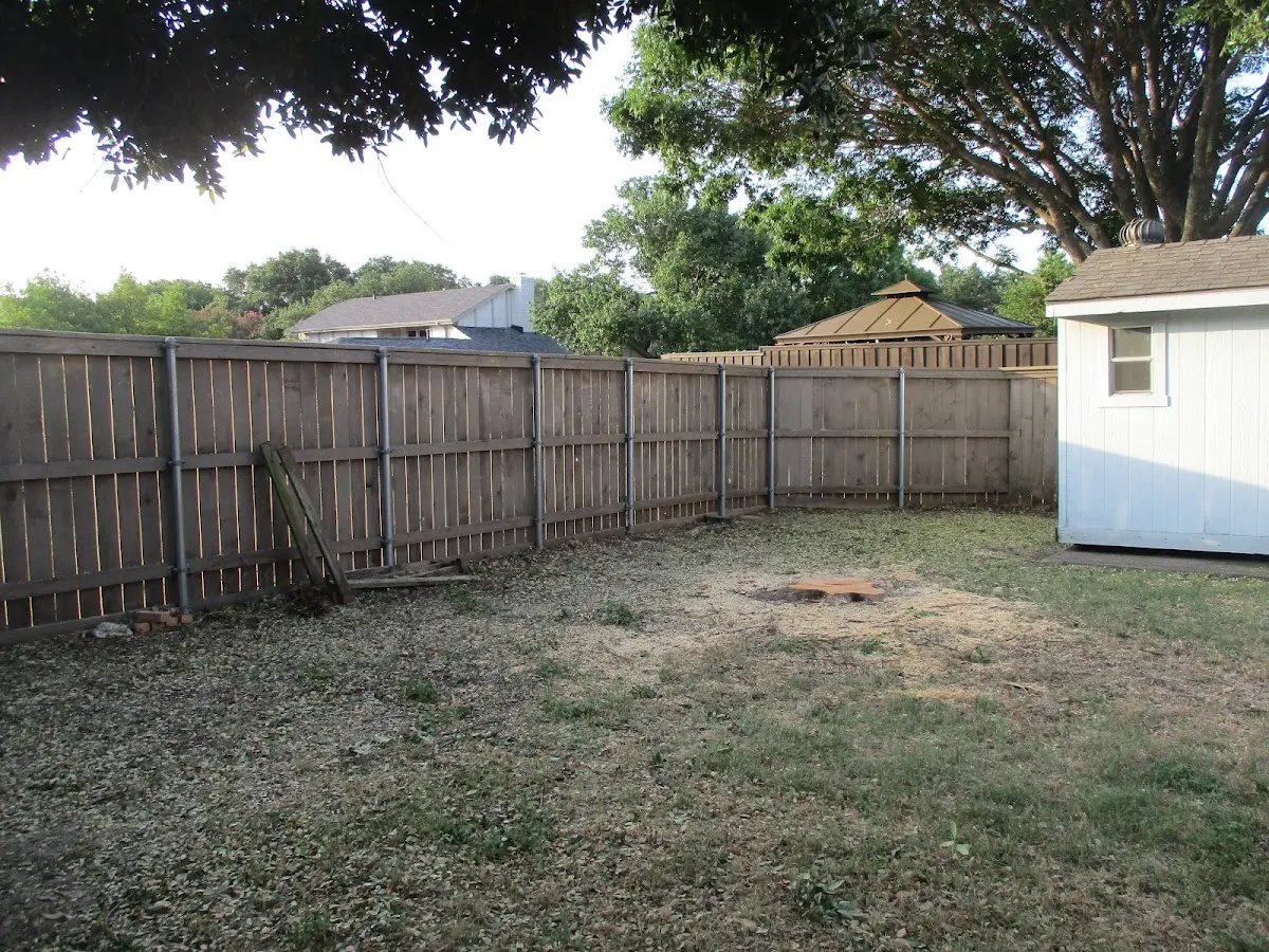 Cleared yard after professional tree removal in Chippewa Lake
