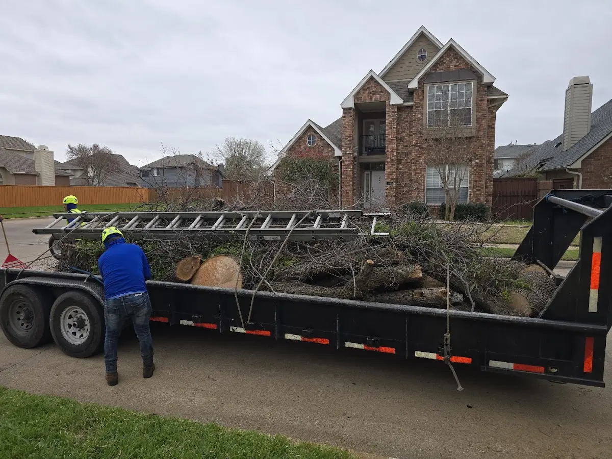 Expert Tree Removal with proper safety equipment in Chippewa Lake